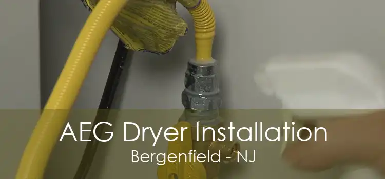 AEG Dryer Installation Bergenfield - NJ
