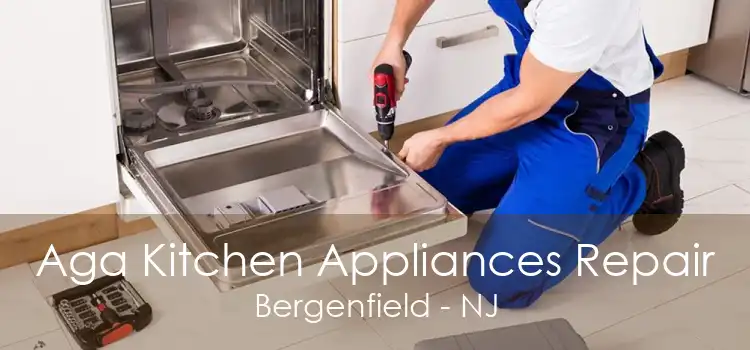 Aga Kitchen Appliances Repair Bergenfield - NJ