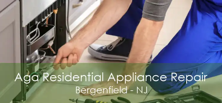 Aga Residential Appliance Repair Bergenfield - NJ
