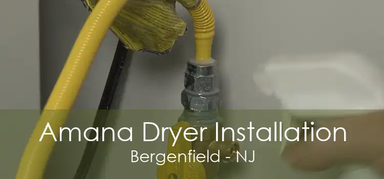 Amana Dryer Installation Bergenfield - NJ