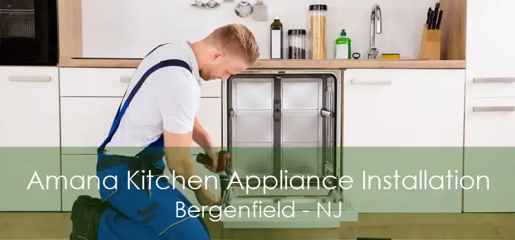 Amana Kitchen Appliance Installation Bergenfield - NJ