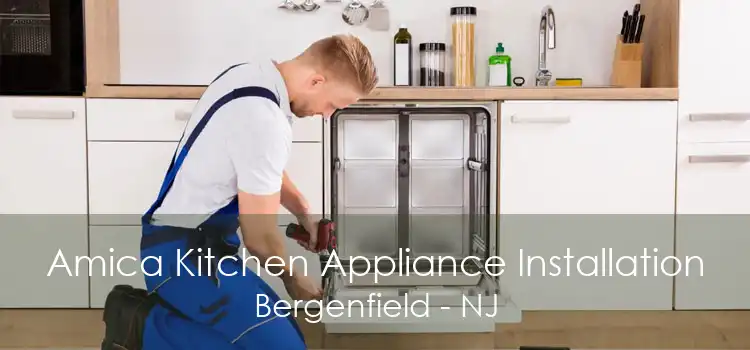 Amica Kitchen Appliance Installation Bergenfield - NJ