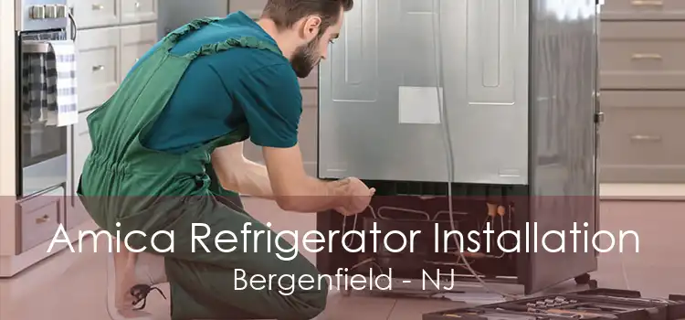 Amica Refrigerator Installation Bergenfield - NJ