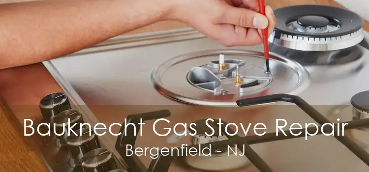 Bauknecht Gas Stove Repair Bergenfield - NJ