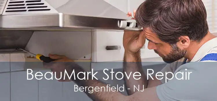 BeauMark Stove Repair Bergenfield - NJ