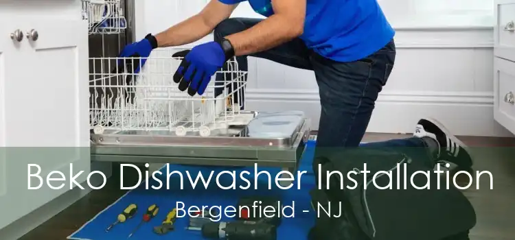 Beko Dishwasher Installation Bergenfield - NJ