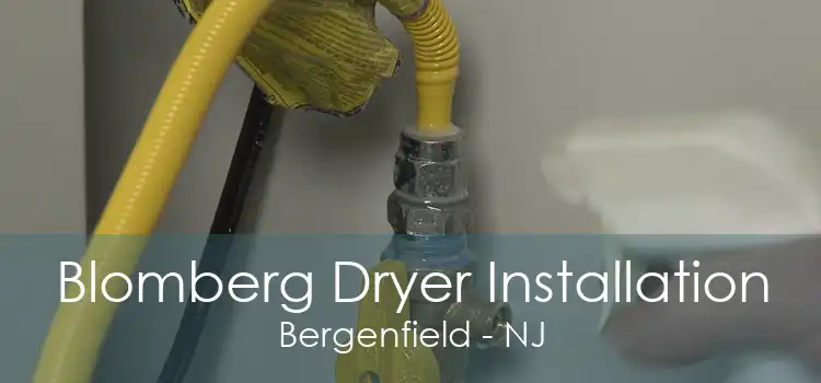 Blomberg Dryer Installation Bergenfield - NJ