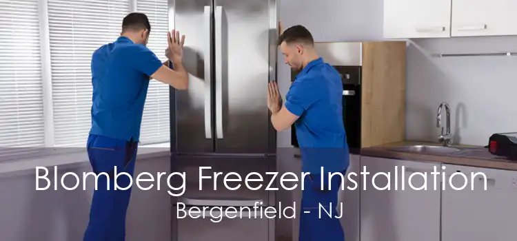 Blomberg Freezer Installation Bergenfield - NJ