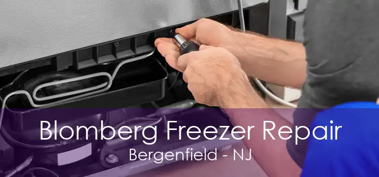 Blomberg Freezer Repair Bergenfield - NJ
