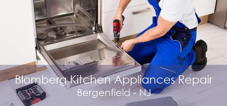Blomberg Kitchen Appliances Repair Bergenfield - NJ