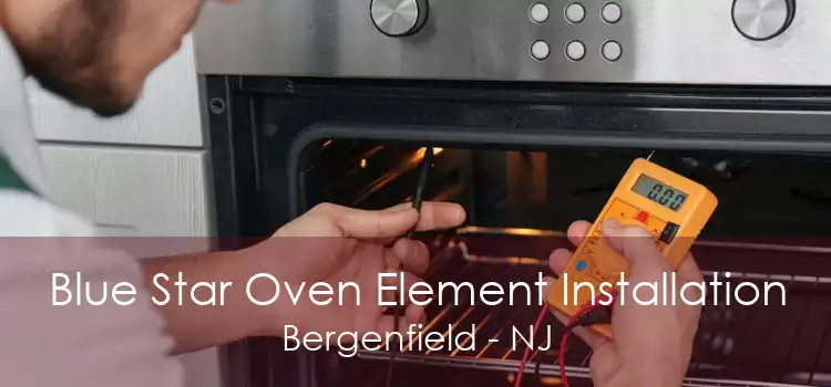 Blue Star Oven Element Installation Bergenfield - NJ