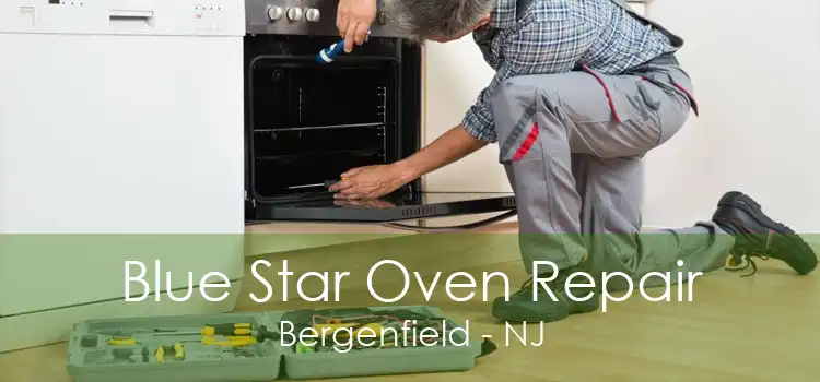Blue Star Oven Repair Bergenfield - NJ