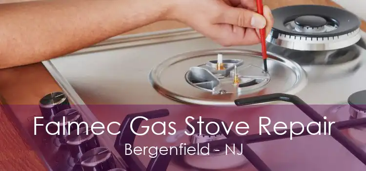 Falmec Gas Stove Repair Bergenfield - NJ