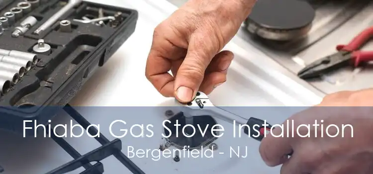 Fhiaba Gas Stove Installation Bergenfield - NJ