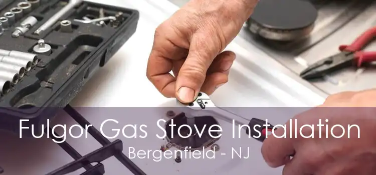 Fulgor Gas Stove Installation Bergenfield - NJ