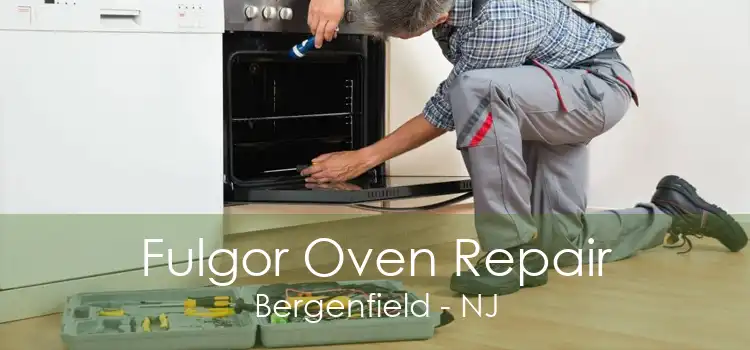 Fulgor Oven Repair Bergenfield - NJ