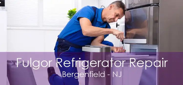 Fulgor Refrigerator Repair Bergenfield - NJ