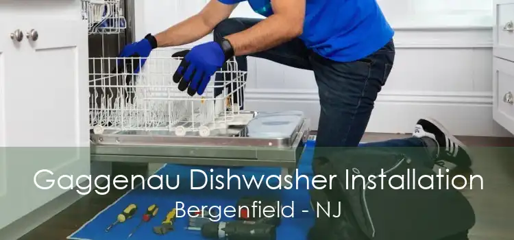 Gaggenau Dishwasher Installation Bergenfield - NJ