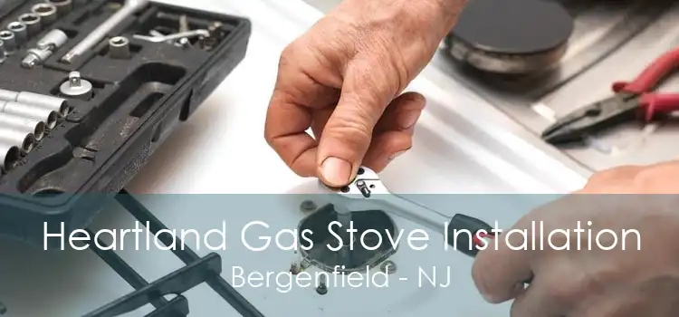 Heartland Gas Stove Installation Bergenfield - NJ