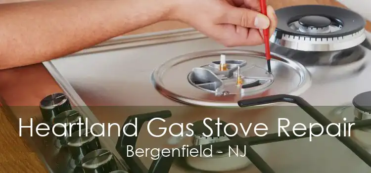 Heartland Gas Stove Repair Bergenfield - NJ