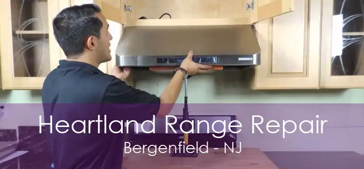 Heartland Range Repair Bergenfield - NJ