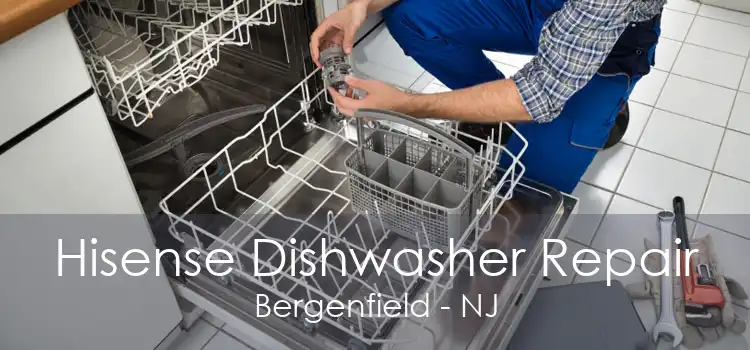 Hisense Dishwasher Repair Bergenfield - NJ
