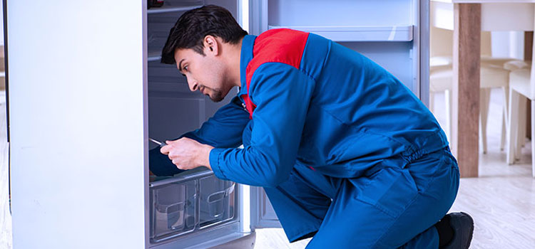 Zephyr Freezer Repair Services in Bergenfield, New Jersey