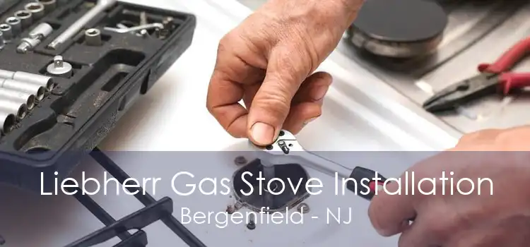 Liebherr Gas Stove Installation Bergenfield - NJ
