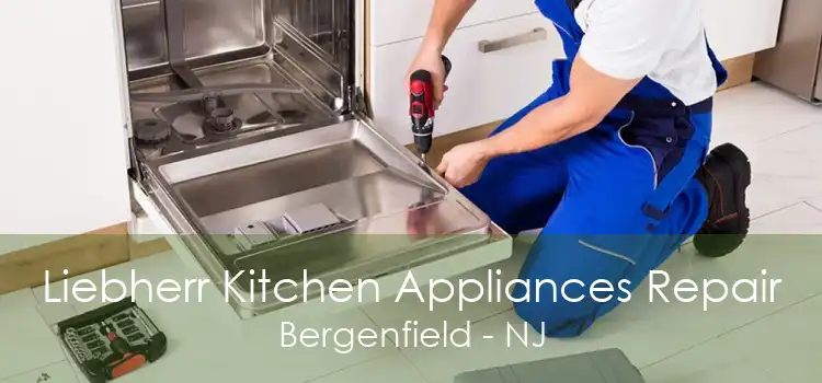 Liebherr Kitchen Appliances Repair Bergenfield - NJ