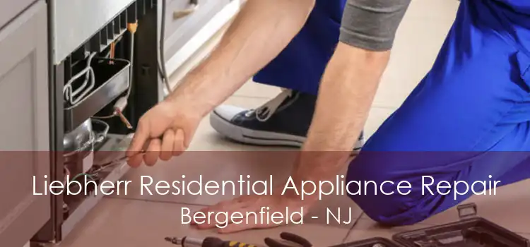 Liebherr Residential Appliance Repair Bergenfield - NJ