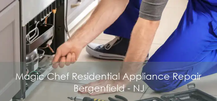 Magic Chef Residential Appliance Repair Bergenfield - NJ