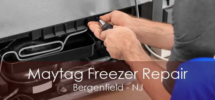 Maytag Freezer Repair Bergenfield - NJ
