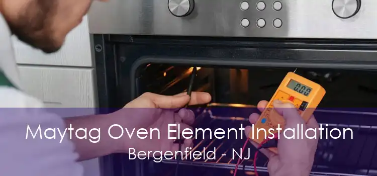 Maytag Oven Element Installation Bergenfield - NJ