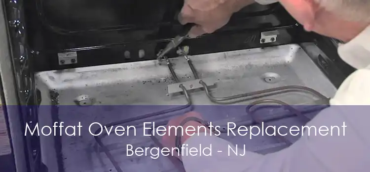 Moffat Oven Elements Replacement Bergenfield - NJ