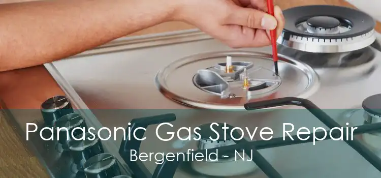 Panasonic Gas Stove Repair Bergenfield - NJ