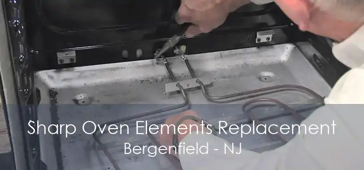 Sharp Oven Elements Replacement Bergenfield - NJ