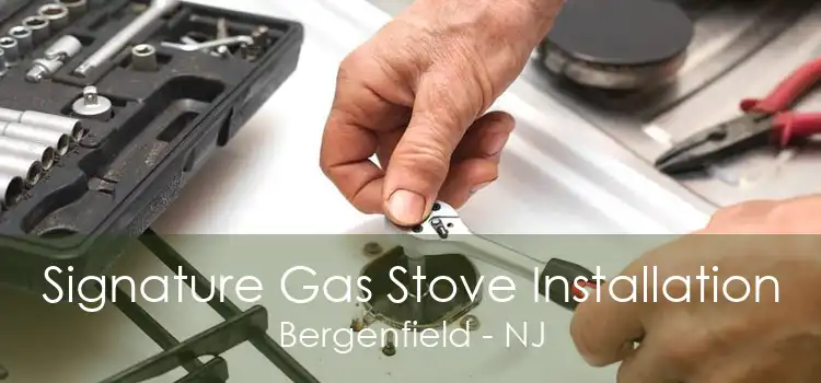 Signature Gas Stove Installation Bergenfield - NJ