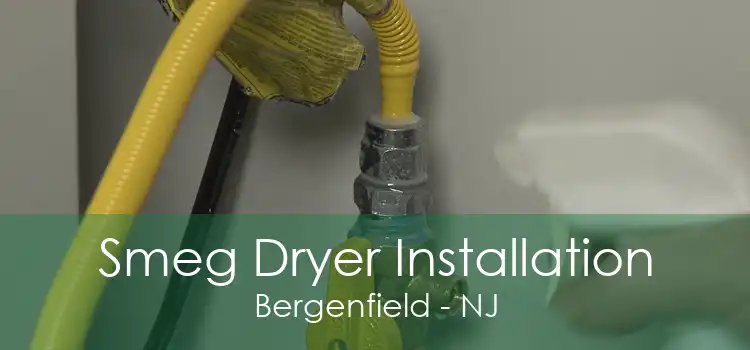 Smeg Dryer Installation Bergenfield - NJ