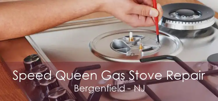 Speed Queen Gas Stove Repair Bergenfield - NJ