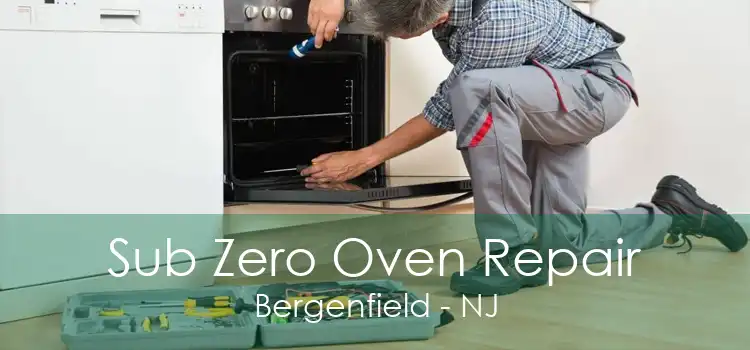 Sub Zero Oven Repair Bergenfield - NJ