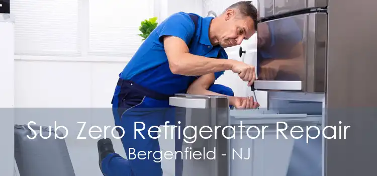 Sub Zero Refrigerator Repair Bergenfield - NJ