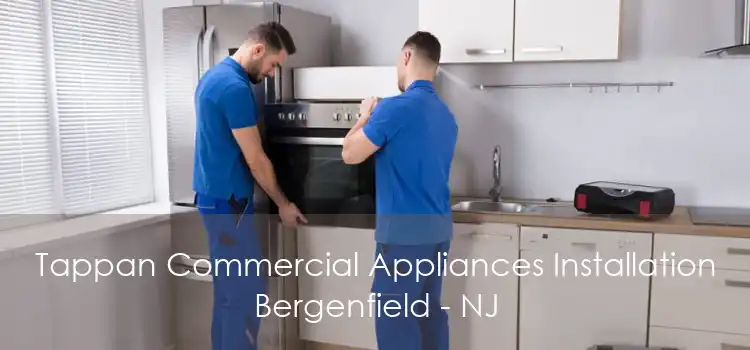Tappan Commercial Appliances Installation Bergenfield - NJ