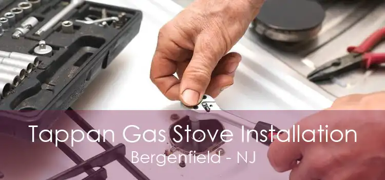 Tappan Gas Stove Installation Bergenfield - NJ