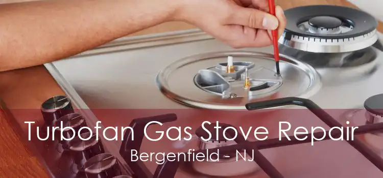 Turbofan Gas Stove Repair Bergenfield - NJ