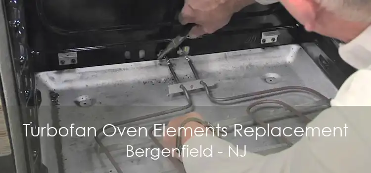 Turbofan Oven Elements Replacement Bergenfield - NJ