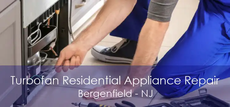 Turbofan Residential Appliance Repair Bergenfield - NJ