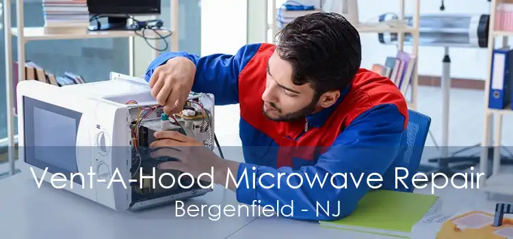 Vent-A-Hood Microwave Repair Bergenfield - NJ