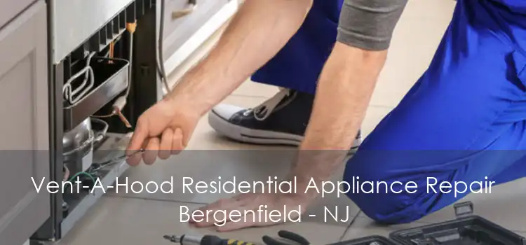 Vent-A-Hood Residential Appliance Repair Bergenfield - NJ