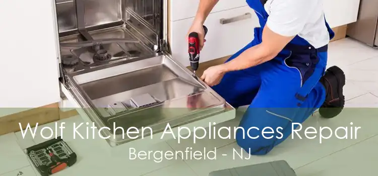Wolf Kitchen Appliances Repair Bergenfield - NJ