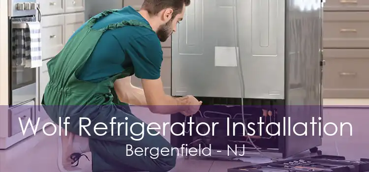 Wolf Refrigerator Installation Bergenfield - NJ